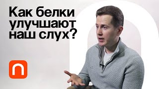 Силы в живой клетке — Никита Гудимчук 