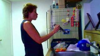 Feeding the bird #2