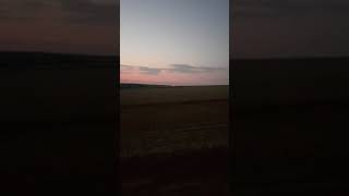 Ловля перепела