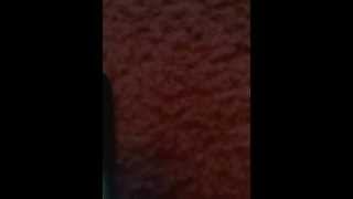 How to root T Mobile Concord ZTE
