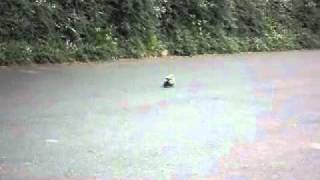 venom gpv1 brushless wheelie