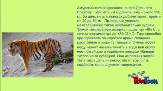 Красная книга животных