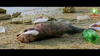 Ban plastic, save nature for a safe and healthy future