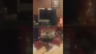 My Paranormal  May 17 , 2019 ghost playing with my shoes