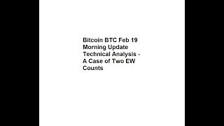 Bitcoin BTC Feb 19 Morning Update Technical Analysis - A Case of Two EW Counts