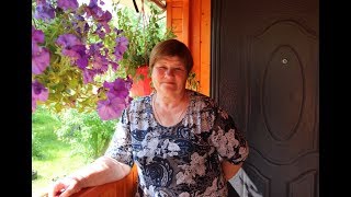Мои Цветы. Обзор Террасы. Мягкие Окна - Супер Решение для Дачи и Дома.