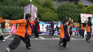 バサカニ2011　酔蓮華（すいれんか）