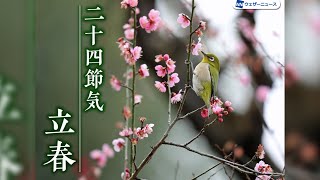 二十四節気「立春」 春が少しずつ感じられる「東風」