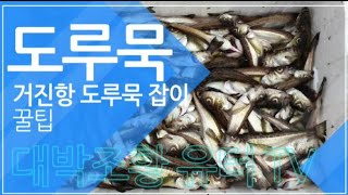 거진항 도루묵잡이 꿀팁 1인1통발