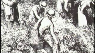 The Second Great Awakening