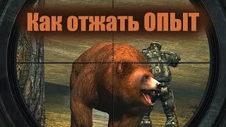 Stalker Online-Как отжать ОПЫТ(патч)