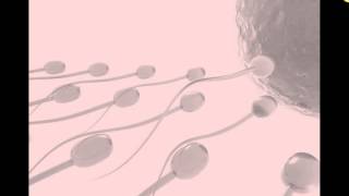 Semen Evaluation (Veterinary Technician Education)