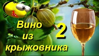 Вино из крыжовника 2 часть "Уход за брожением"