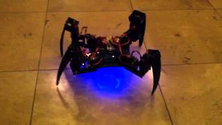 QuadBot