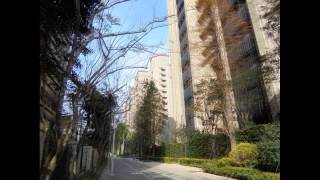 皇翔御琚~忠孝東路五段236巷~246坪~5.9億