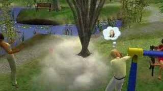 Sims 2 Sephiroth vs. Cloud