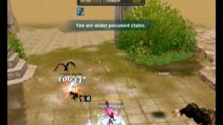 Silkroad Captain Ivy Spawn Luck