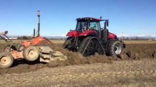 Case IH Magnum 380 CVX Rowtrac + Livel Montefiori