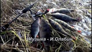 Микроджиг зимой. Окунь. Спиннинг Tict Sram JSR-610SS. Закрытие сезона 2016