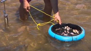 How to catch whiting with yabbies