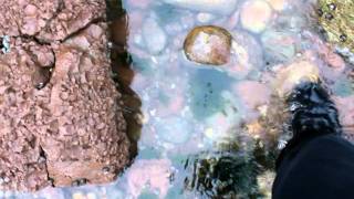 Wet boots in the sea  2