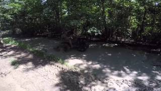 Jordan testing the new 4x4
