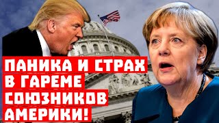 Трамп будет делать "бо-бо"! Паника и страх в гареме союзников Америки!