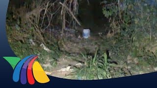 Trabajador encuentra cadáver en predio de Vallarta | Noticias de Jalisco