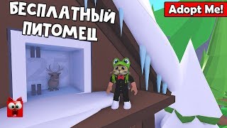 ПОДАРКИ в игре Адопт Ми роблокс | Adopt Me roblox | Покажу свой новый дом и ремонт в игре + обновы