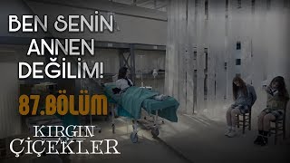 Defne, Eylül ve Cemre organ mafyasının elinde! - Kırgın Çiçekler 87.Bölüm