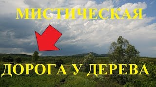 КОП МОНЕТ НА СТАРОЙ ДОРОГЕ! УЖАС!!! СКОЛЬКО МОНЕТ В ОДНОМ МЕСТЕ!!