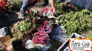 DIY - Grabpflege - Winterbepflanzung selber machen