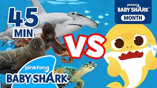 Baby Shark vs Sea Animals | +Compilation | Baby Shark Songs 