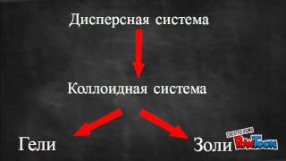 Коллоидные системы