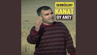 Oy Aney