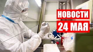 Новые случаи обезьяньей оспы / Колючая проволока убивает животных / Новости 24 мая