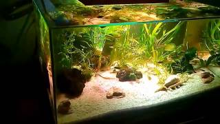 Hagen Fluval EDGE, копия, Нано аквариум