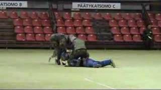 Puolustusmessut koirapartio