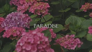 TONI - Paradise (Official Video)