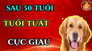 Tiết Lộ Bí Ẩn Cuộc Đời Tuổi Tuất Chắc Chắn Giàu Có Và Thành Công Sau 50 Tuổi