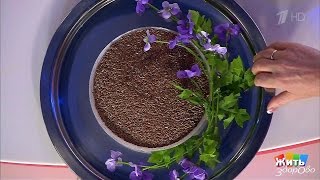 Льняное семя. Продукт-защитник.  Жить здорово! (05.12.2016)