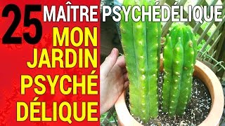 Maître Psychédélique #25: Mon jardin psychédélique