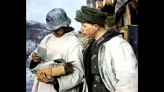 Письма немецких солдат с Восточного фронта  Великая отечественная война