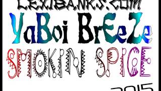 YaBoi BrEeZe - Smokin SPICE - 2015