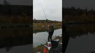 Рыбалка супер. Крупный карп Мой рекорд Карп 24кг.