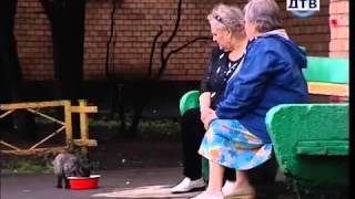 Измена Жена ( Кувыркается с Водителем ) Брачное чтиво