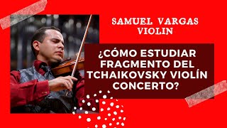 Tchaikovsky Violin Concerto - Samuel Vargas Violin