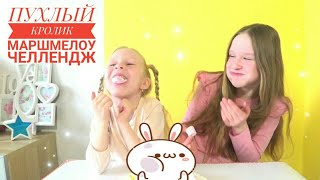 ПУХЛЫЙ КРОЛИК ? Маршмеллоу Челлендж///
CHUBBY BUNNY Marshmallow challenge///#пухлыйкролик