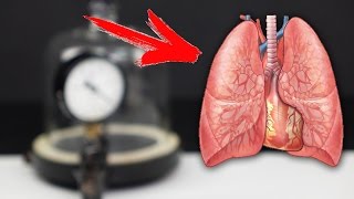 ЧТО ЕСЛИ ЛЕГКИЕ СУНУТЬ в ВАКУУМ ?!