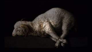 Agnellius. Requiem - Agnus Dei. (Midi)